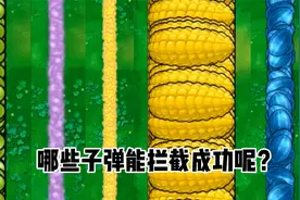 植物大战僵尸：哪一种子弹能拦截boss机甲？视频封面