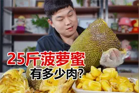 25斤超大菠萝蜜能出多少肉？78块一个，剥起来也太费劲了吧！