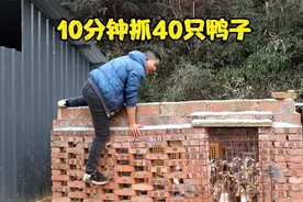 小邓为了抓鸭子，想到了一个简单又实用的办法，10分钟抓40只鸭子