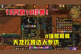 天龙八部端游：怀旧老玩家收藏的15只双10资质极品珍兽。视频封面