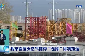 西宁市首座天然气储存“仓库”即将投运视频封面