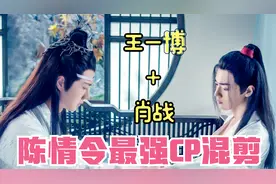 （肖战/王一博）古装剧陈情令CP向混剪 蓝湛，对不起，谢谢你视频封面