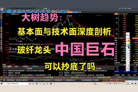大树趋势基本面与技术面深度剖析：玻纤龙头中国巨石能抄底吗