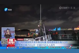 价值约1亿元！厦门海关破获特大走私案，现场查获犀牛角145件视频封面