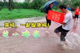 成都暴雨后，到处都是鱼，尽管大家抓鱼工具很随意，但成果不一般视频封面