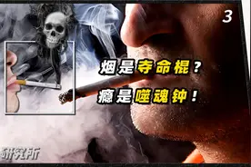 当你吸烟的时候，你吸的是什么？（下）