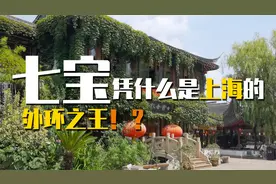 七宝，凭什么是上海的外环之王！视频封面