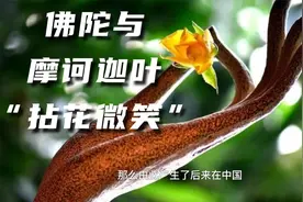 佛陀与摩诃迦叶“拈花微笑”究竟有何深意？该怎么理解？视频封面