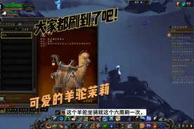 魔兽世界：8.0地图沃顿，可爱的羊驼坐骑茉莉，大家都刷到了吧