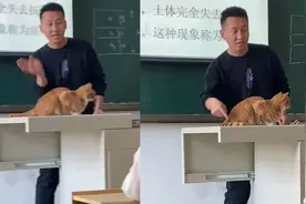 用猫咪当教具授课视频走红，老师回应：尾巴摆动适合讲知识点视频封面