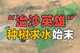 “治沙英雄”种树求水事件反转始末！沙漠生态载不动乔木的爱？视频封面