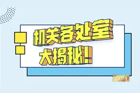 满满干货！机关里各处（科）室主要负责哪些工作？忙？有实权？