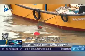 优良水质面积达82.4%!厦门全面清理海漂垃圾,保护蓝色海岸线视频封面