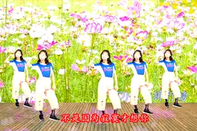 一曲DJ《不是因为寂寞才想你》动感优美广场舞