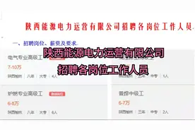 陕西能源电力运营有限公司招聘各岗位工作人员视频封面