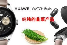 我说Watch Buds是纯韭菜产品，没人反驳吧视频封面