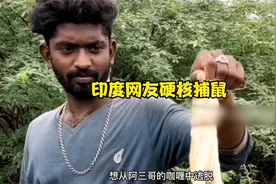 印度网友硬核捕鼠，老鼠洞有多深，他们就刨多深！视频封面