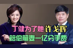 丁健为了她，直接赔偿前妻一亿分手费，许戈辉到底有什么魅力？