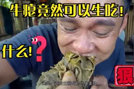 为什么牛瘪可以生吃，看完这个视频你们就知道