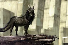 清朝仅存的一只神兽麒麟是真的吗，牛生麒麟猪生象，你又见过吗？视频封面