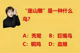 公务员考试：“座山雕”时一种什么鸟？为什么没人喜欢它？视频封面