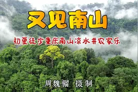 又见南山——初夏徒步户外活动剪影视频封面