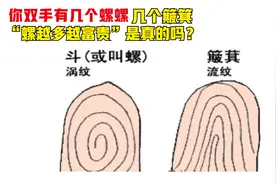 你双手指纹有几个螺螺，几个簸箕？“螺越多越富贵”是真的吗？视频封面