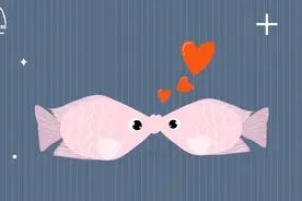 接吻鱼为什么喜欢接吻？