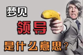 梦见领导，意味着什么？视频封面