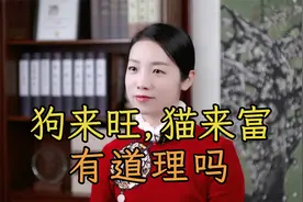 俗语“狗来旺，猫来富，燕来筑巢家兴旺”，是真的吗？