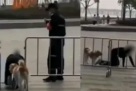 哗众取宠！网曝深圳女子与狗同拴跪地爬行，还学狗叫，警方回应了视频封面