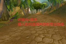 魔兽世界怀旧服：讲解tbc版本，猎人如何选择种族和专业技能