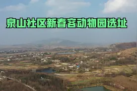 合肥动物园选址肥东泉山风景区，优势在哪