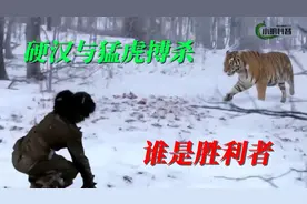一位武功高强的硬汉遇见老虎，硬汉与老虎搏杀，硬汉命运如何？视频封面