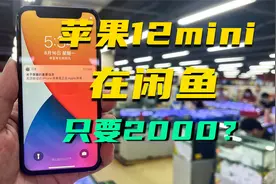 2000块能在闲鱼淘一台iPhone12mini？换上国产LCD屏，值不值？视频封面
