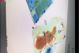 装猫带鱼过安检，铁路部门：禁止携带上车，可以办理托运