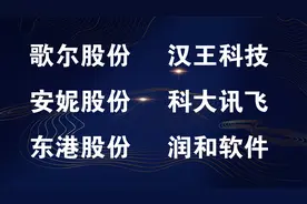 歌尔股份，汉王科技，安妮股份，科大讯飞，东港股份，润和软件