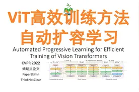 AI论文 ViT模型的 高效自动扩容训练方法