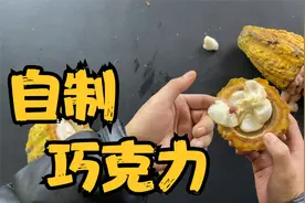 使用可可果自己制作做出来的巧克力，会不会更好吃呢？