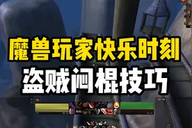 魔兽玩家快乐时刻，高处坠落太刺激，盗贼闷棍小技巧