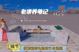 老梁养龟记：楼顶瓷砖观赏龟池设计与建造分享！