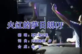 要不要买菜-火红的萨日朗DJ_国语_流行