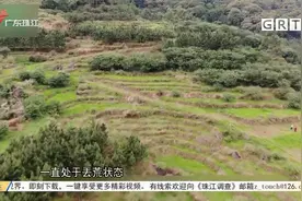 “复耕复绿”走过场 省自然资源厅痛批官僚作风视频封面