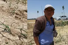 土地刚浇就裂!周口多村近30天未降雨,村民吃水难打井十来米不见水视频封面