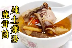 大厨教你炖靓汤，鹿茸菌土鸡汤，养生降脂，做法简单，非常好喝！