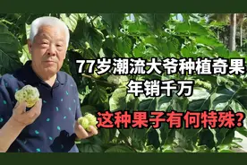 77岁潮流大爷种植奇果，年销千万，这种长满疙瘩的果子有何特殊？