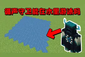 我的世界：当循声守卫被水包围，它能游出来吗？
