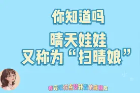 晴天娃娃又称为“扫晴娘”，背后究竟有什么可怕的故事呢？视频封面