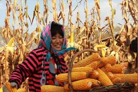 中国存粮到底够14亿人吃吗？全球粮食危机，中国为何如此自信？