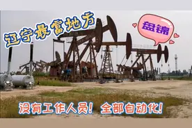 辽宁最富的城市！知道盘锦为什么富吗？原来有它们在不停地工作
